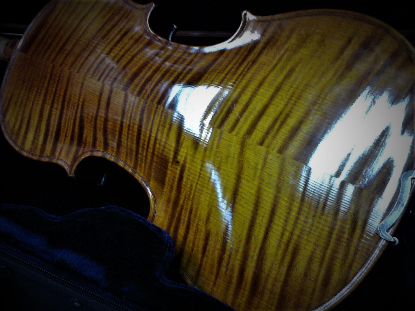 VIOLON ALTO SARASATE ALTO SARASATE ALTO TAILLE ADULTE. TABLE EPICEA. DOS ECLISSES ERABLE FAMME. GARNITURE EBENE. CORDES DOMINANT. ETUI ET ARCHET