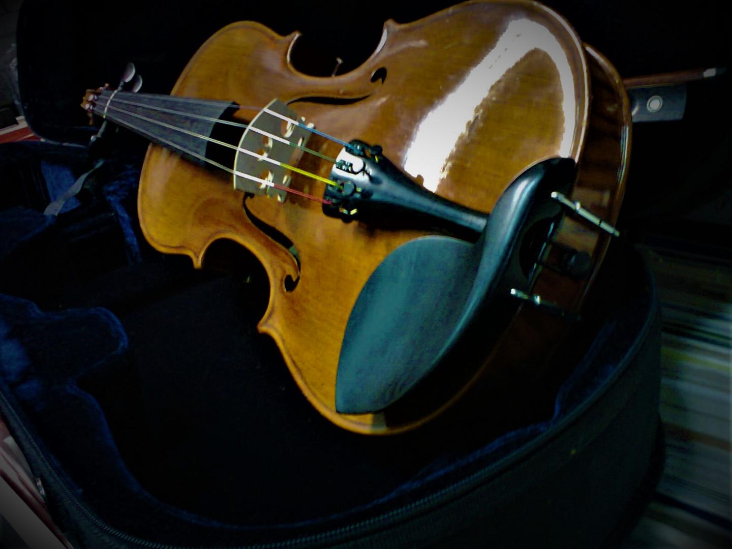 VIOLON ALTO SARASATE ALTO SARASATE ALTO TAILLE ADULTE. TABLE EPICEA. DOS ECLISSES ERABLE FAMME. GARNITURE EBENE. CORDES DOMINANT. ETUI ET ARCHET