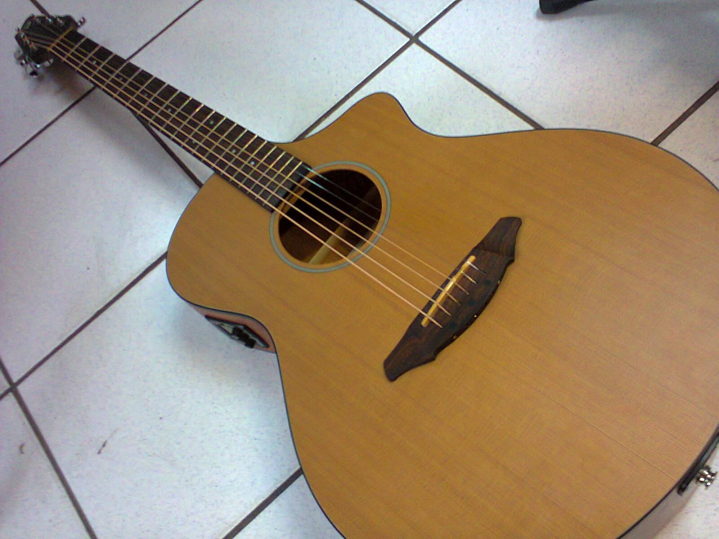 BREEDLOVE PASSPORT C250 BREEDLOVE PASSPORT C250 GUITARE ELECTRO ACOUSTIQUE SATINEE. TABLE CEDRE MASSIF. DOS ECLISSES SAPELE. MANCHE NATO TOUCHE CHEVALET PALISSANDRE. PREAMPLI + ACCORDEUR BREEDLOVE. MECANIQUE CHROME BAIN D'HUILE. **AVEC HOUSSE**